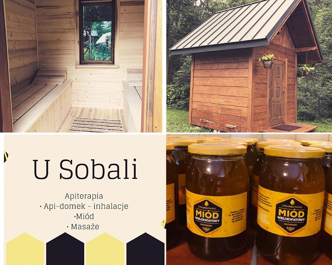 U Sobali Vila Groń Exterior foto